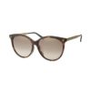 Gucci Sunglasses GG0223SK 003